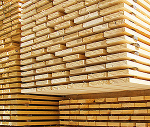 klesnil web 300x254 05