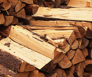 klesnil web 300x254 06